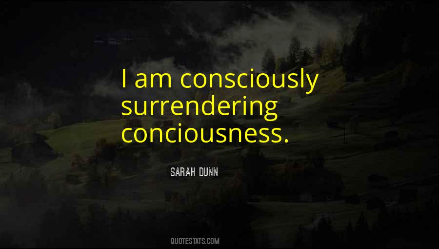 Sarah Dunn Quotes #1537480