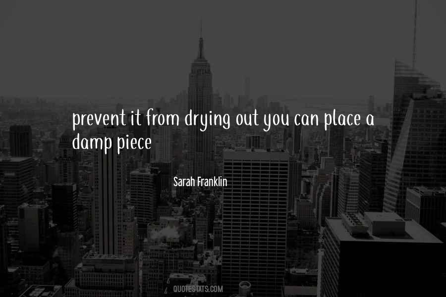 Sarah Franklin Quotes #1357594