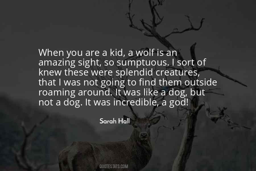 Sarah Hall Quotes #1094043