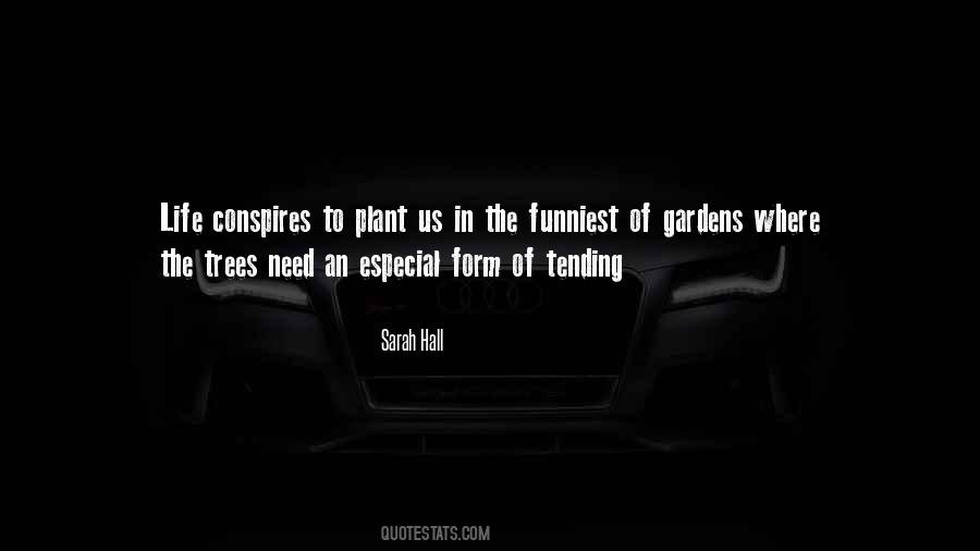 Sarah Hall Quotes #118685