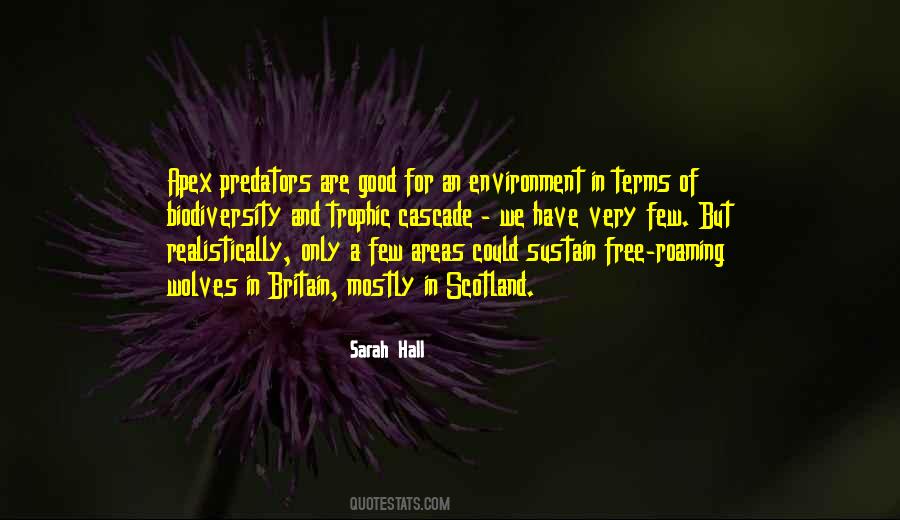 Sarah Hall Quotes #32100