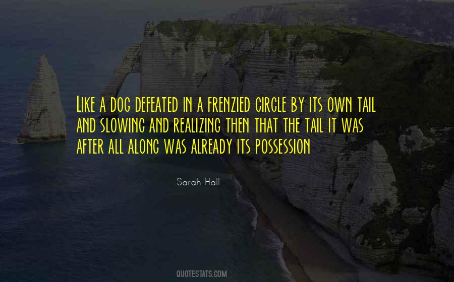 Sarah Hall Quotes #494614