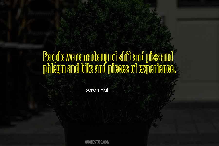 Sarah Hall Quotes #810920