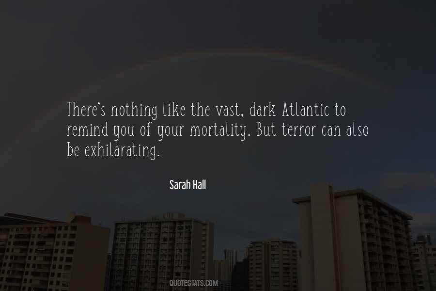 Sarah Hall Quotes #968219
