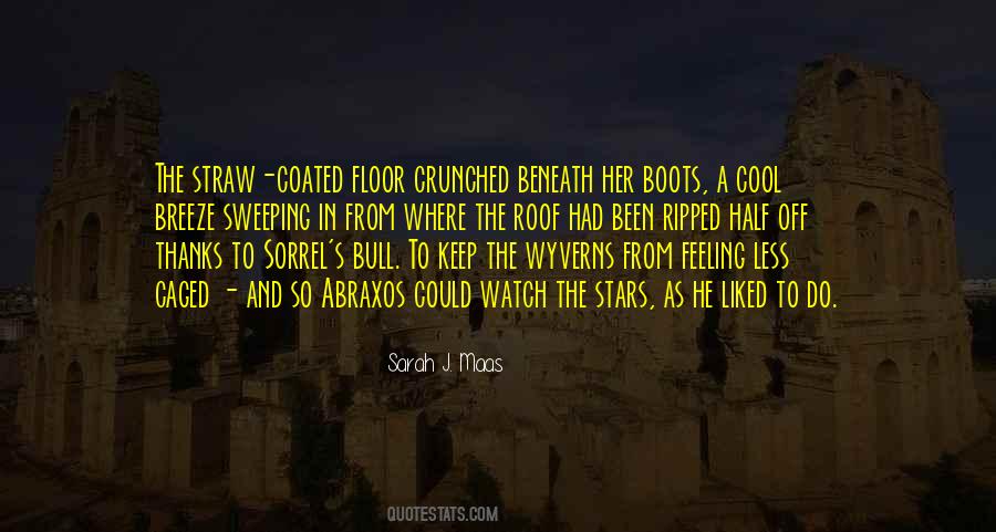 Sarah J. Maas Quotes #105170