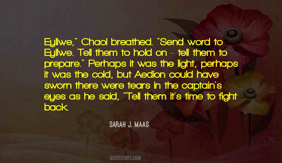 Sarah J. Maas Quotes #1555646