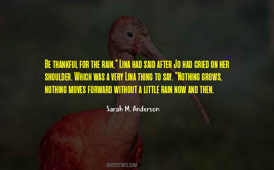 Sarah M. Anderson Quotes #1494639