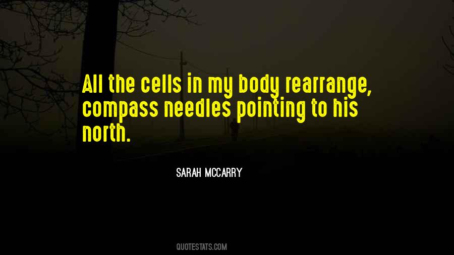 Sarah McCarry Quotes #997602