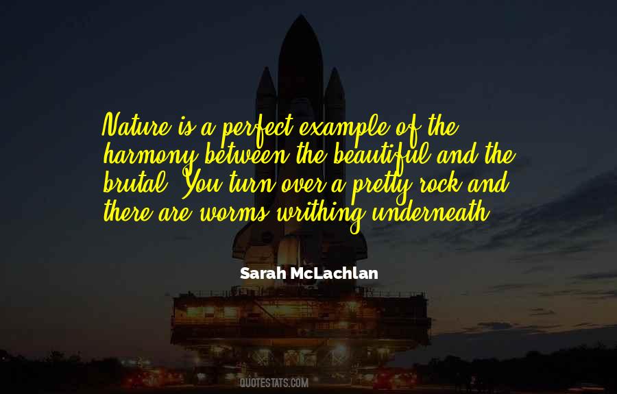 Sarah McLachlan Quotes #900272