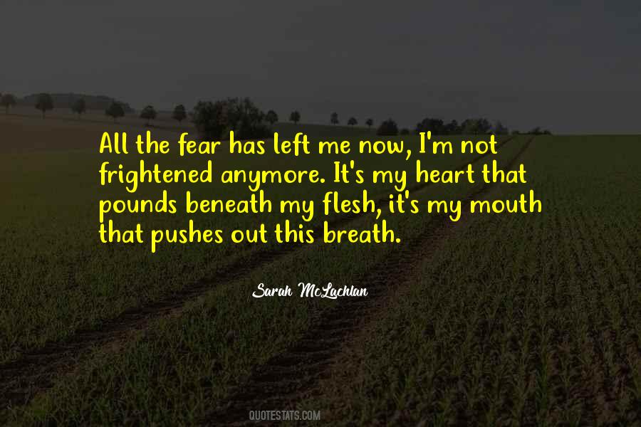 Sarah McLachlan Quotes #985510