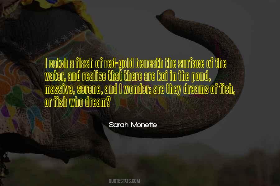 Sarah Monette Quotes #635683