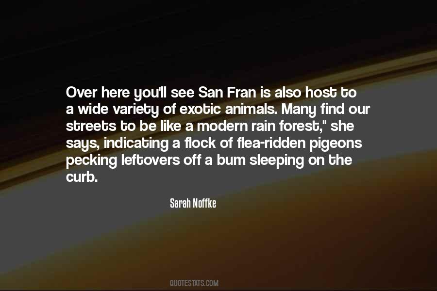 Sarah Noffke Quotes #1277422