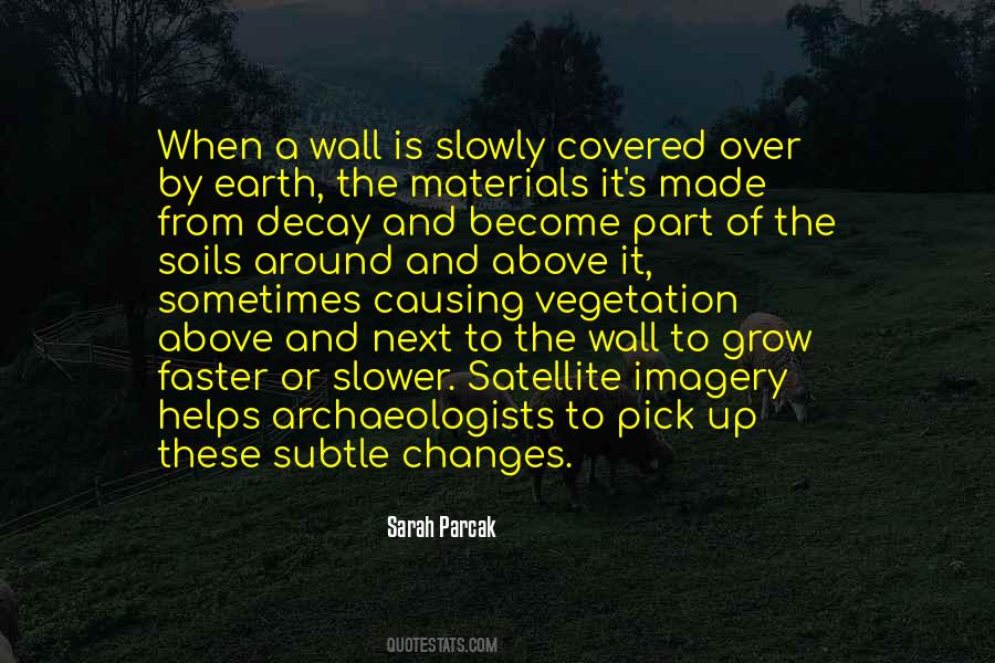 Sarah Parcak Quotes #23528