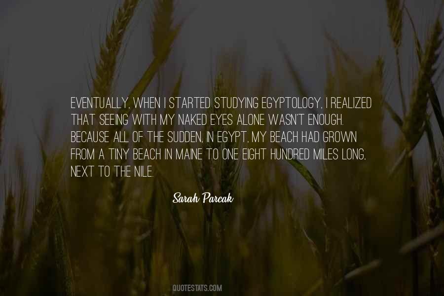 Sarah Parcak Quotes #351477