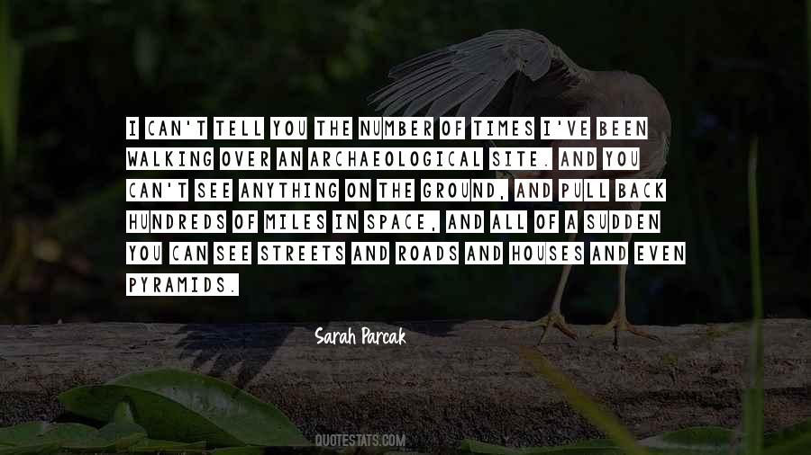 Sarah Parcak Quotes #481585