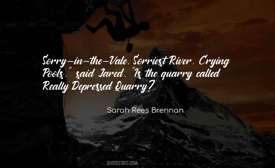 Sarah Rees Brennan Quotes #1676173