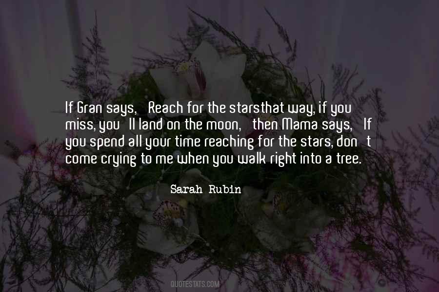 Sarah Rubin Quotes #1872957