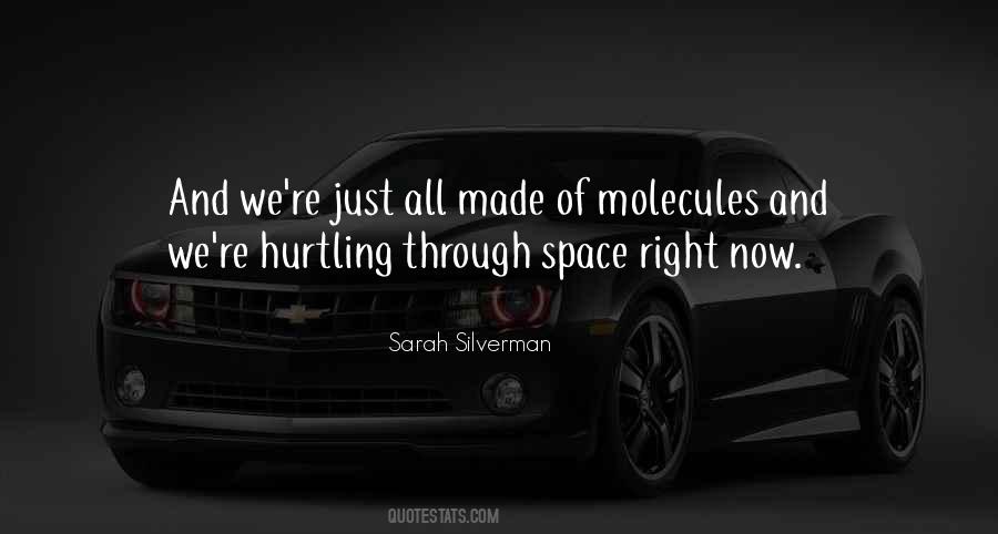 Sarah Silverman Quotes #960017