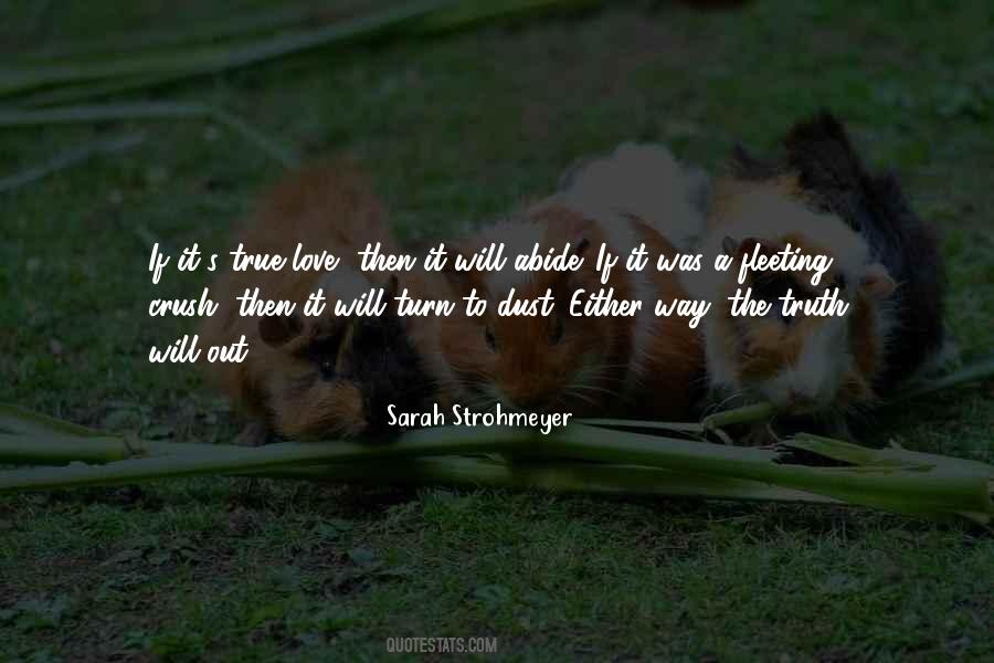 Sarah Strohmeyer Quotes #263246