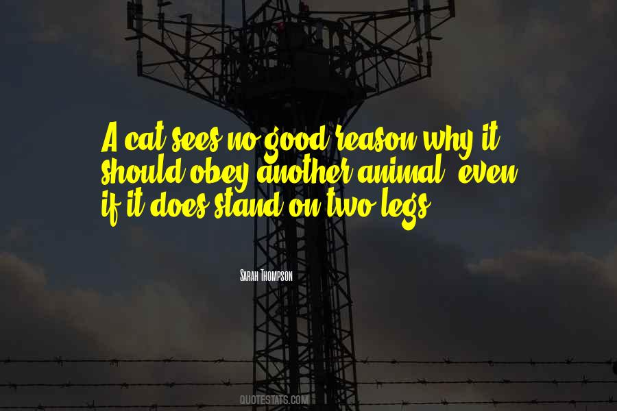 Sarah Thompson Quotes #1295938 Sarah Thompson Quotes #1295938