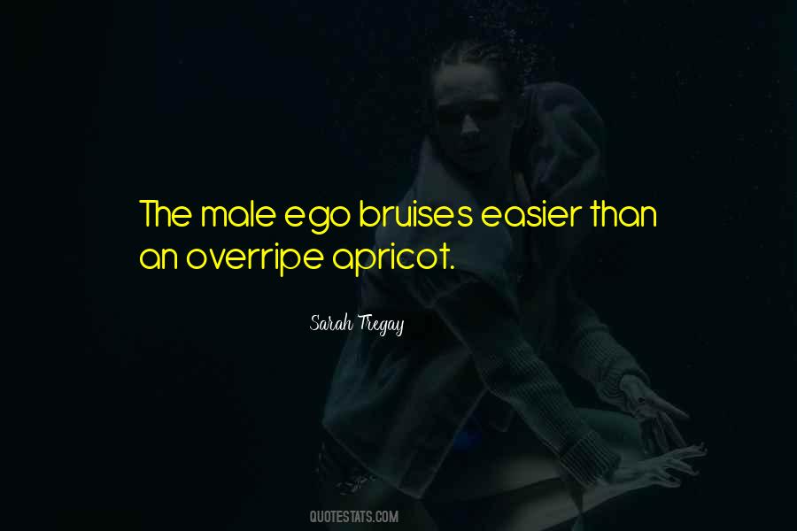 Sarah Tregay Quotes #1830277