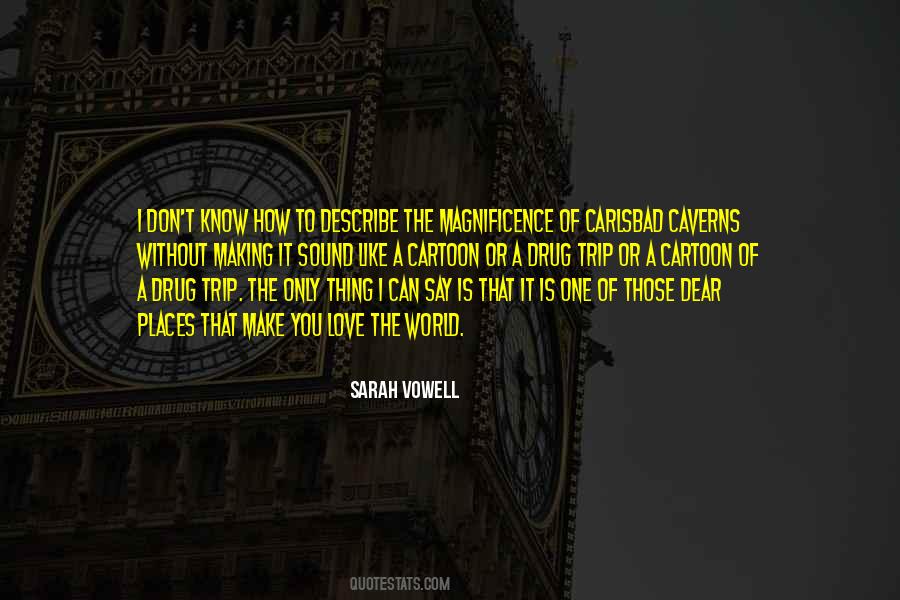 Sarah Vowell Quotes #1547787