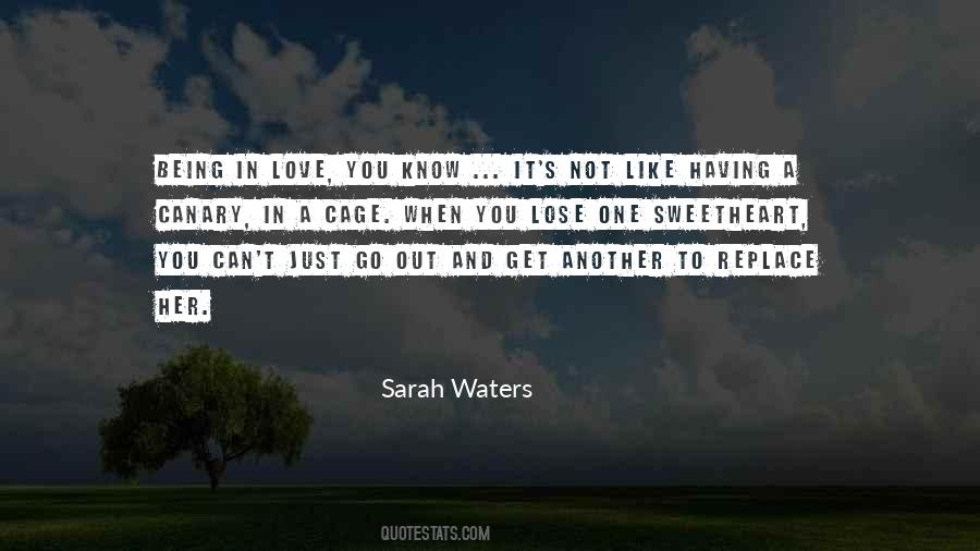 Sarah Waters Quotes #1687797