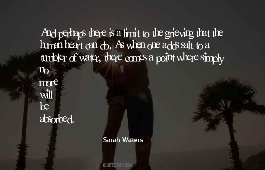 Sarah Waters Quotes #1805517