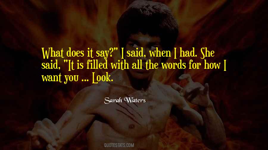 Sarah Waters Quotes #743332
