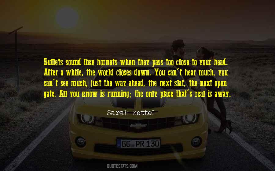 Sarah Zettel Quotes #1723439