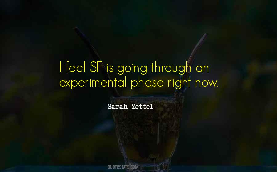 Sarah Zettel Quotes #637561