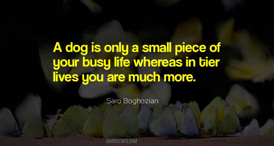 Saro Boghozian Quotes #890122