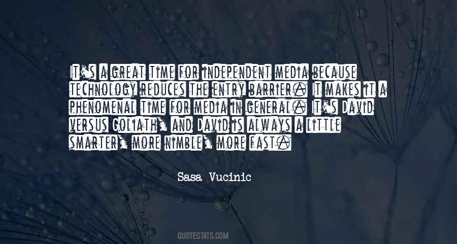 Sasa Vucinic Quotes #1072645