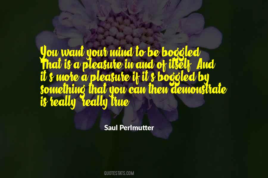 Saul Perlmutter Quotes #1285350