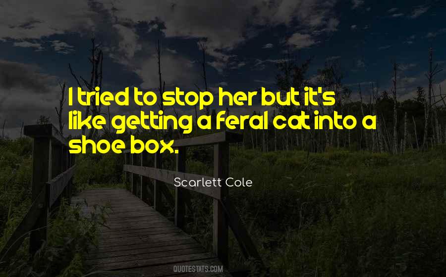 Scarlett Cole Quotes #1054664