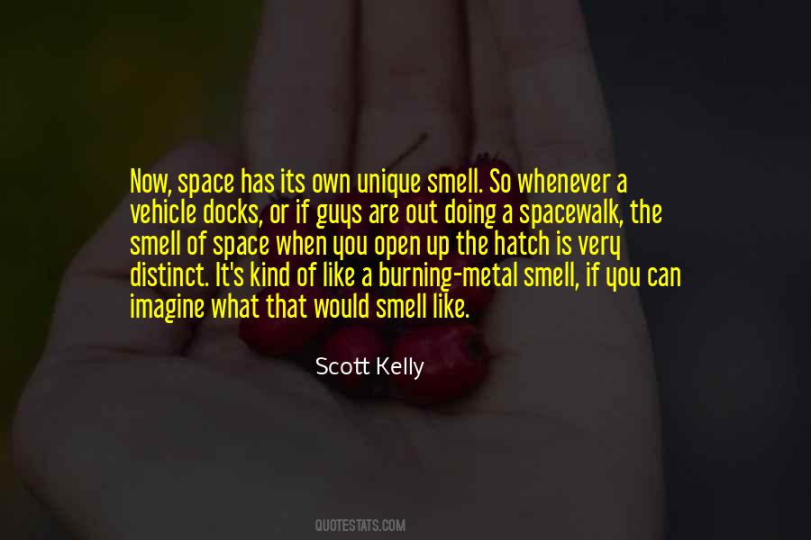 Scott Kelly Quotes #39183