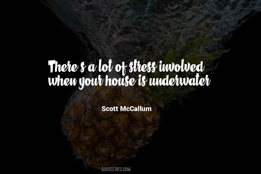 Scott McCallum Quotes #261192