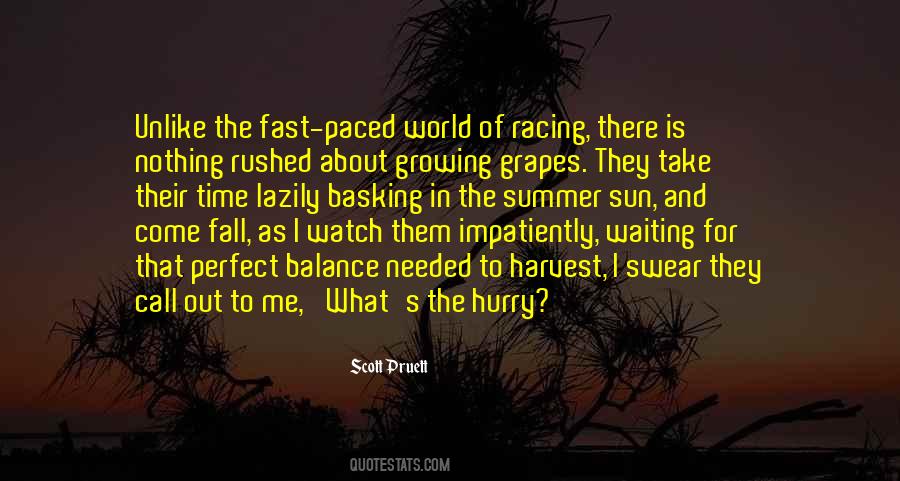 Scott Pruett Quotes #1113414