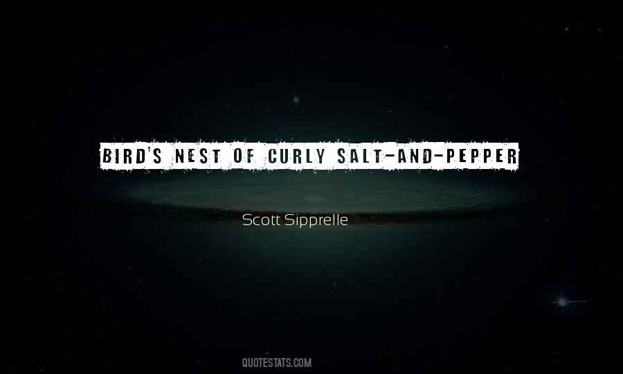 Scott Sipprelle Quotes #214202 Scott Sipprelle Quotes #214202