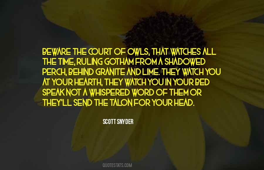 Scott Snyder Quotes #1066387