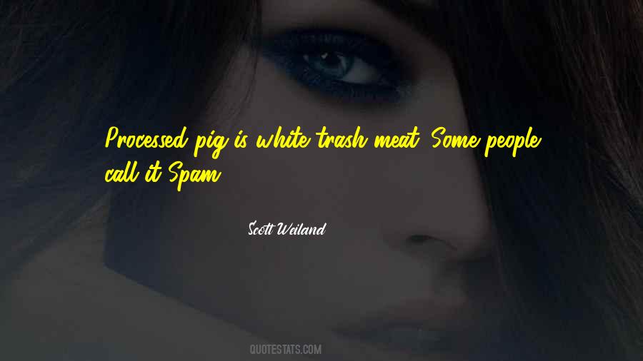 Scott Weiland Quotes #70030