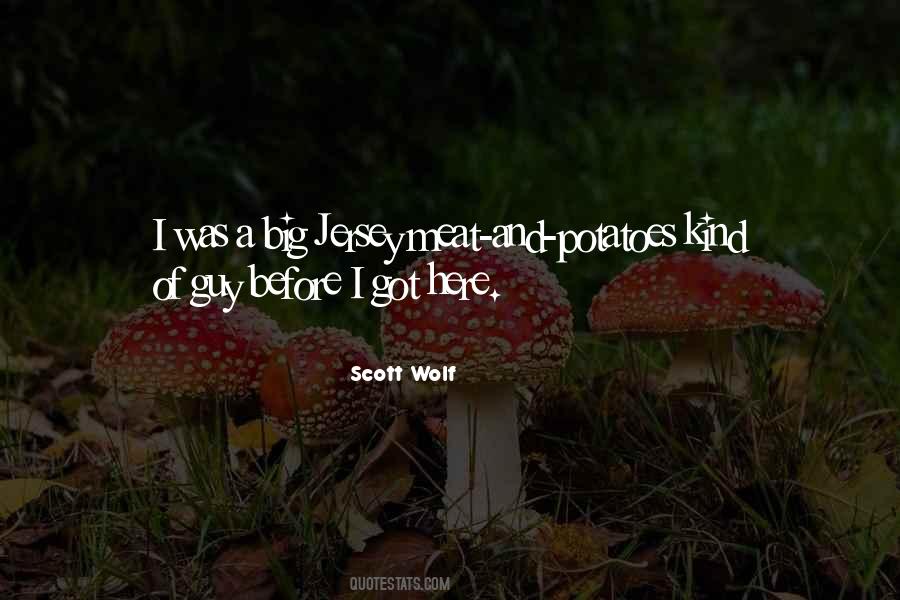 Scott Wolf Quotes #1351442
