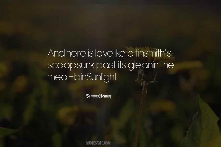 Seamus Heaney Quotes #1089088