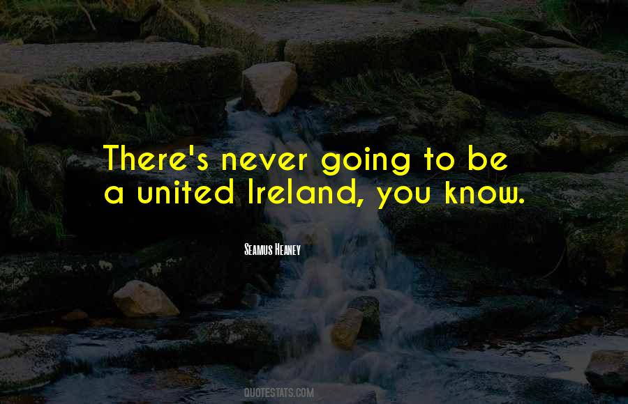 Seamus Heaney Quotes #1325999