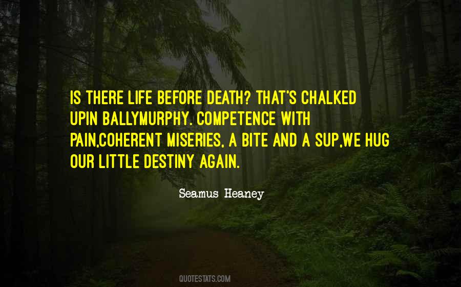 Seamus Heaney Quotes #226123