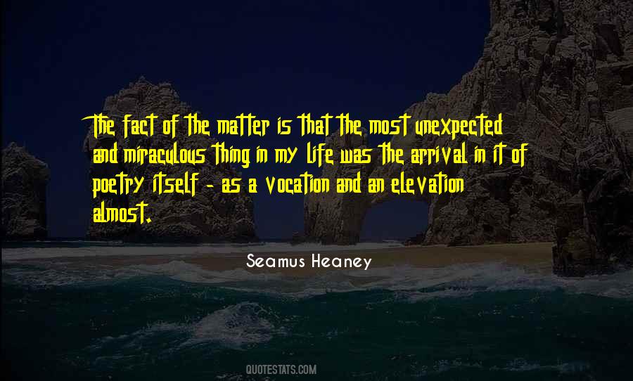 Seamus Heaney Quotes #492061