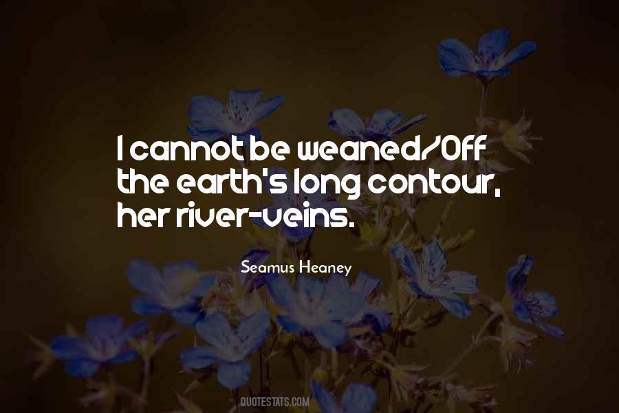 Seamus Heaney Quotes #64428