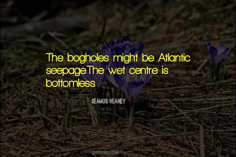 Seamus Heaney Quotes #647595