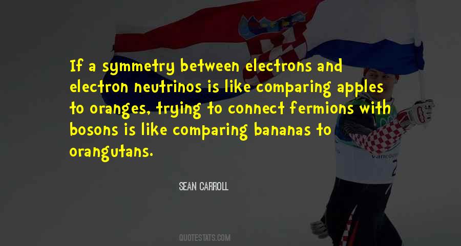 Sean Carroll Quotes #1054232