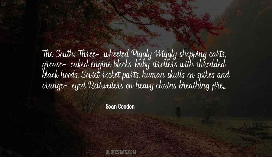 Sean Condon Quotes #1765310